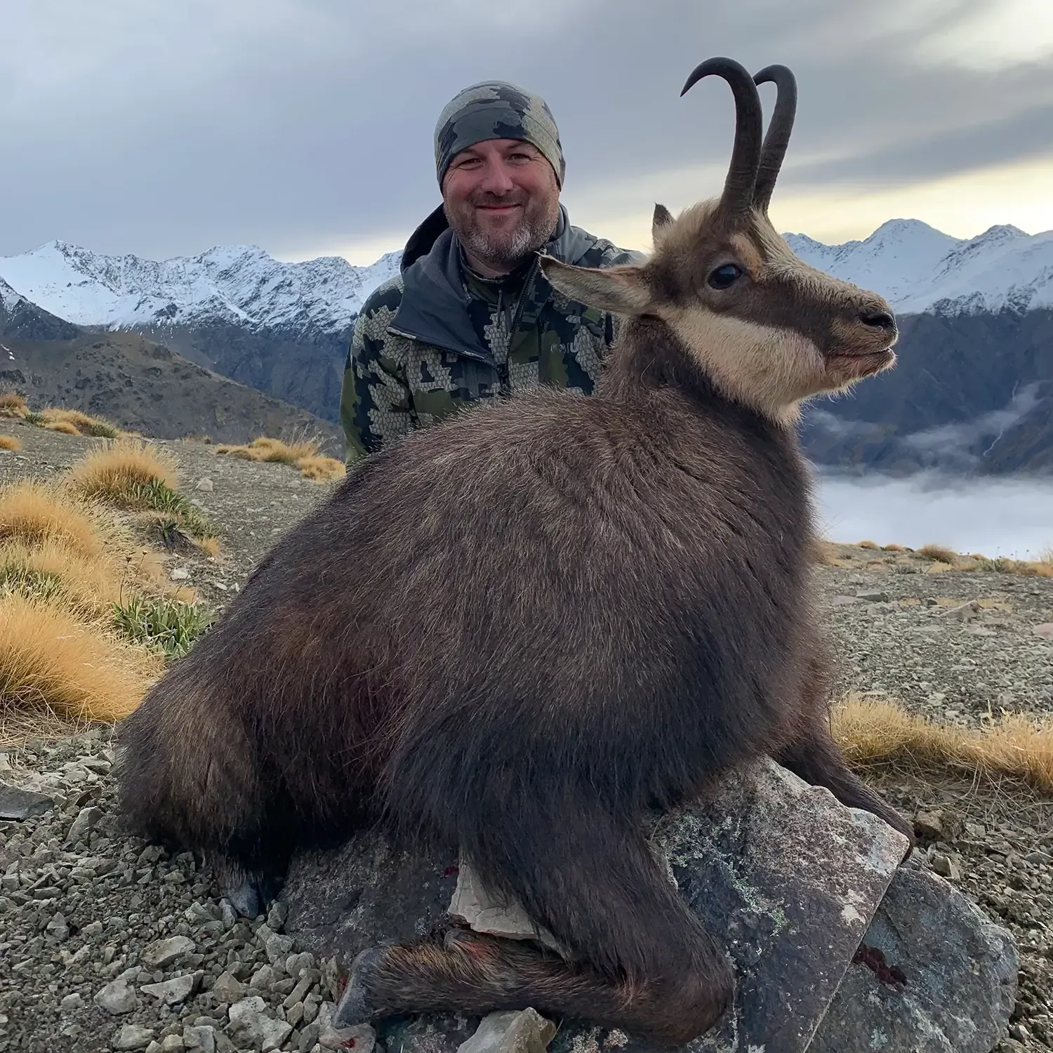 Chamois Hunting with Avon Valley Safaris in New Zealand.
