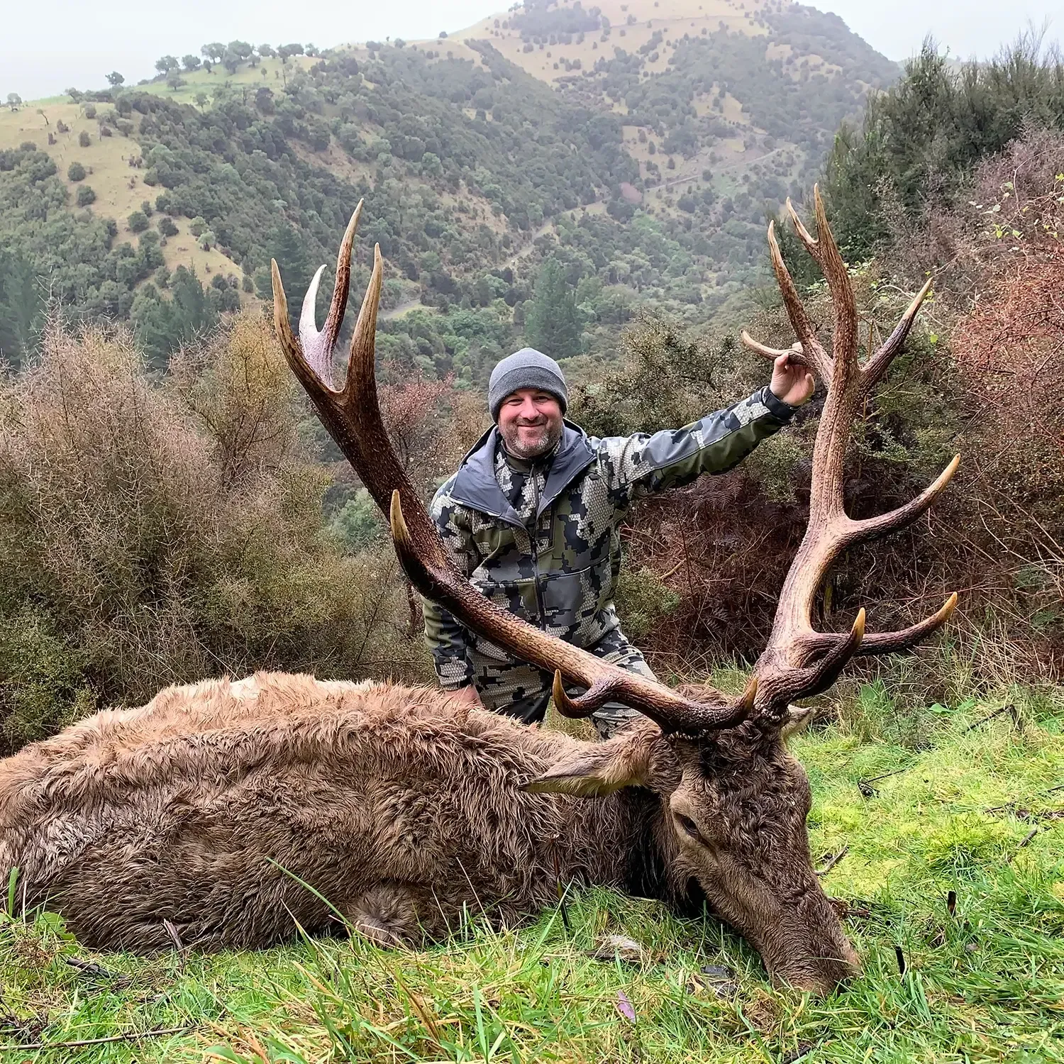 Elk/Wapiti hunting at Avon Valley Safaris New Zealand.