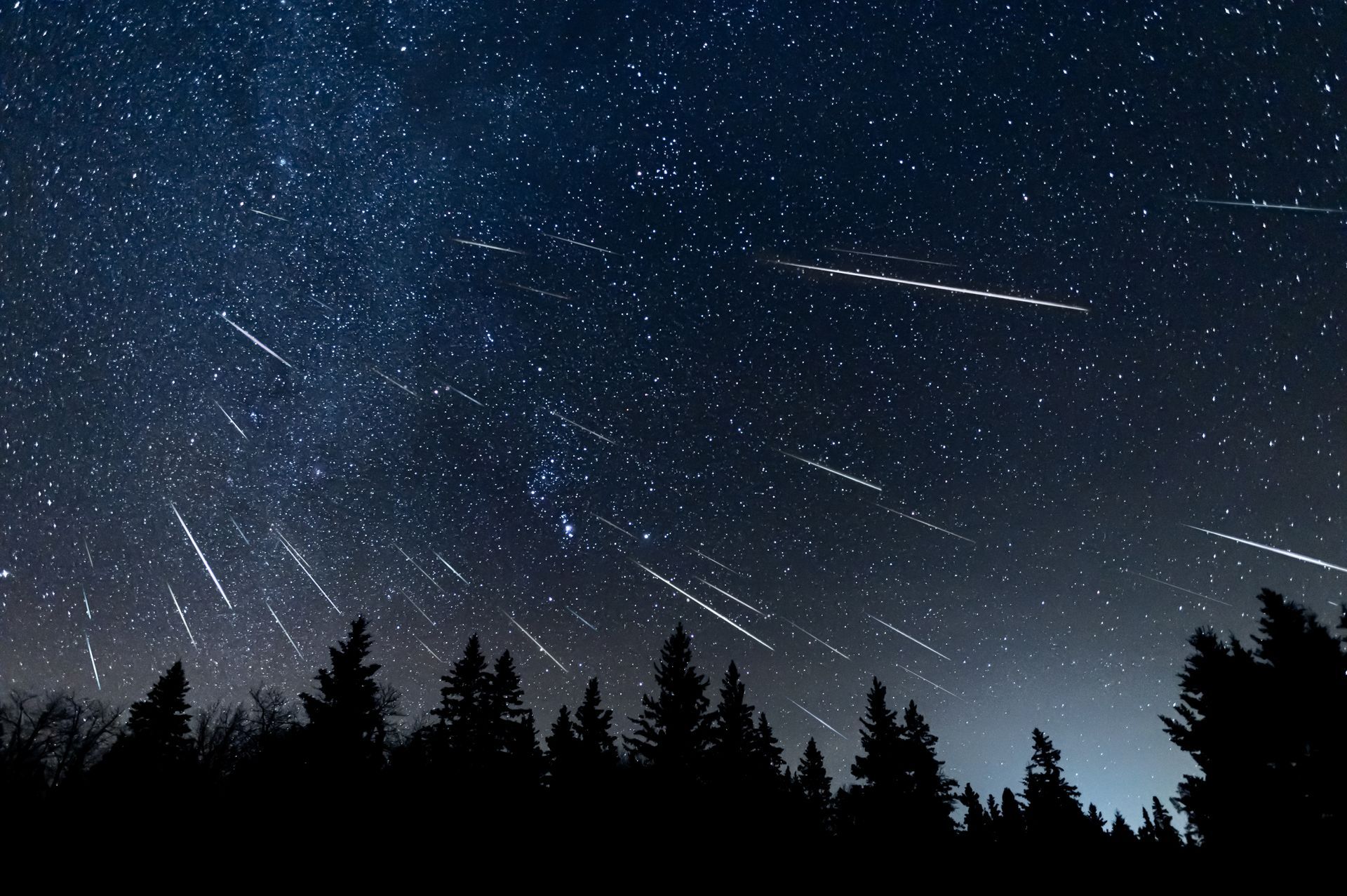 Starry night sky with meteor streaks above a dark pine forest silhouette