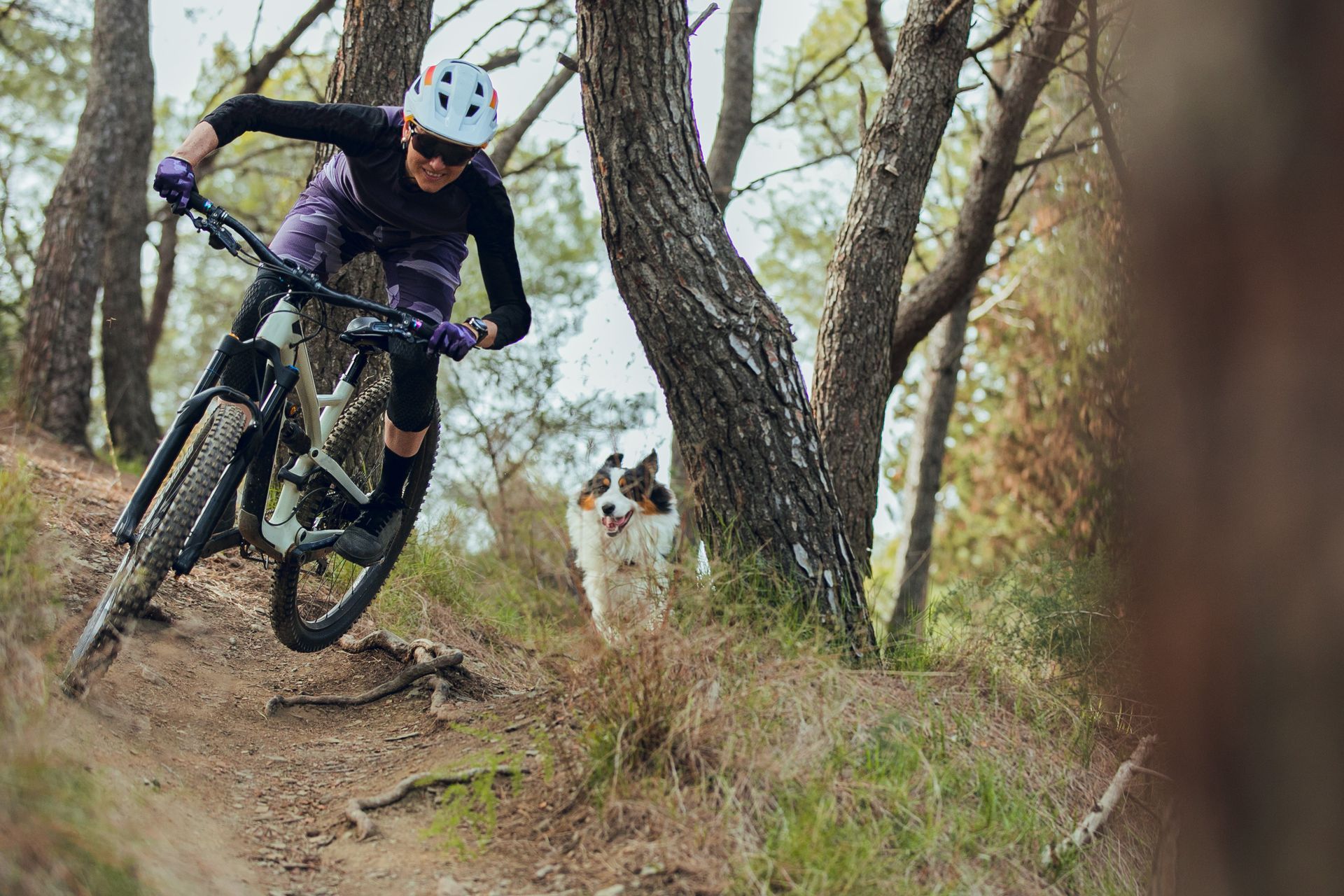 Mountain biker in helmet leans into a turn on a wooded trail, with a dog nearby