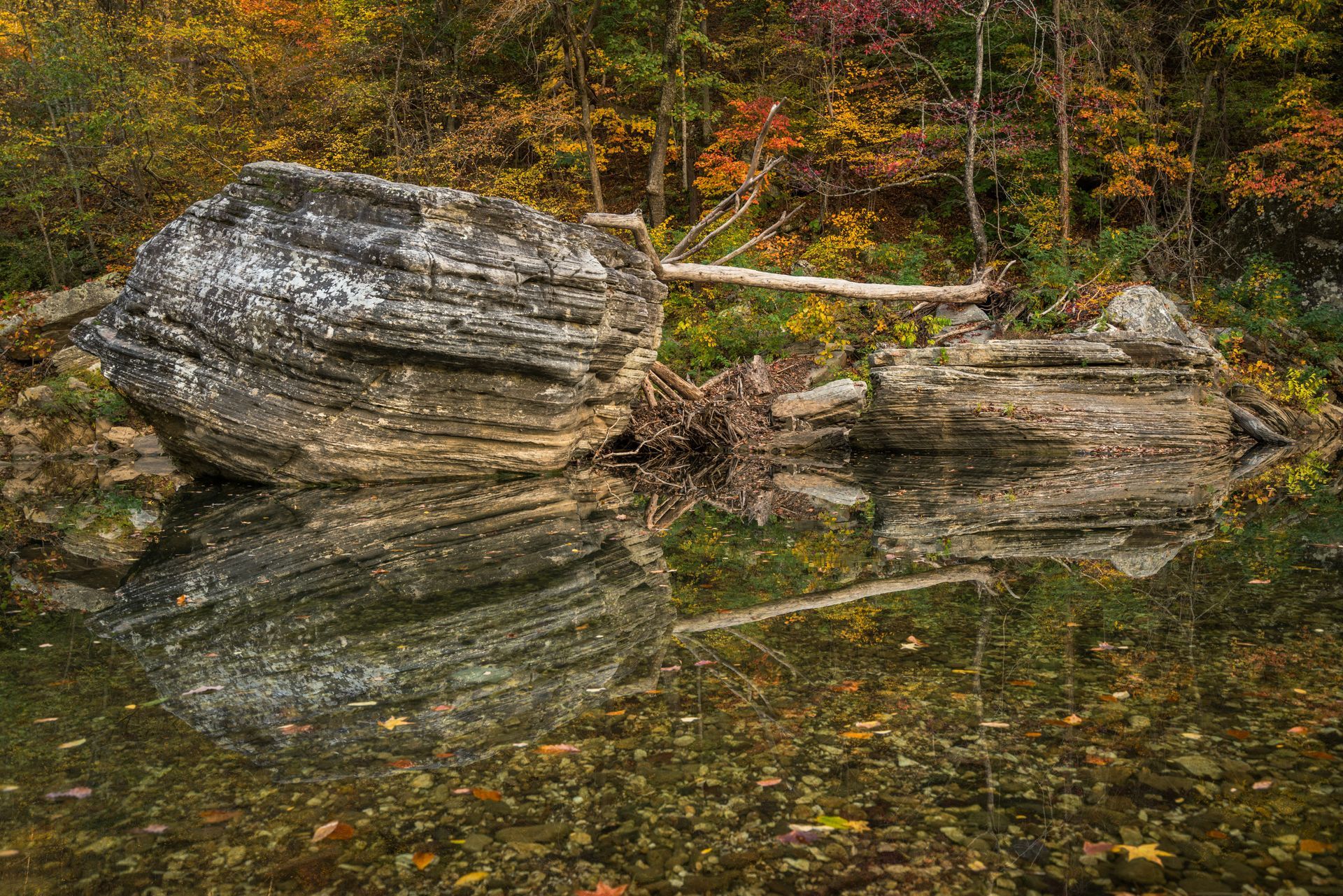 Large striped boulder by a calm forest pond, reflected in the water with autumn leaves in the background