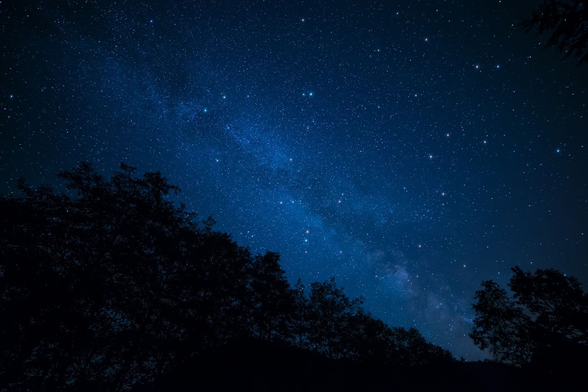 Starry night sky over silhouetted trees, with a bright band of the Milky Way.