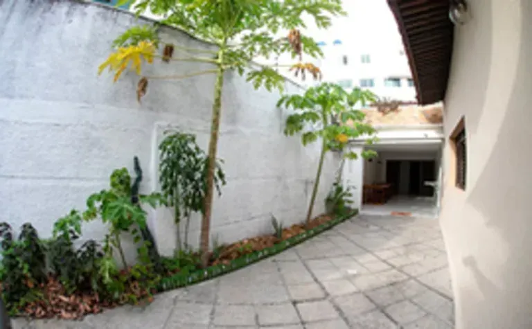 Passarela no pátio ao lado de um muro branco com árvores e vasos de plantas, que leva a uma porta sombreada.