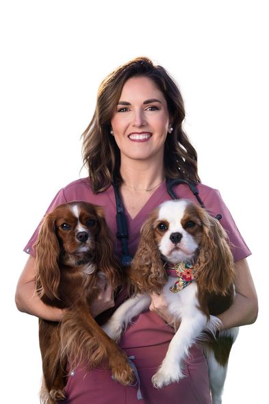 Dr, Grigsby with two dogs outdoors; Cavalier King Charles Spaniel, Golden Retriever.