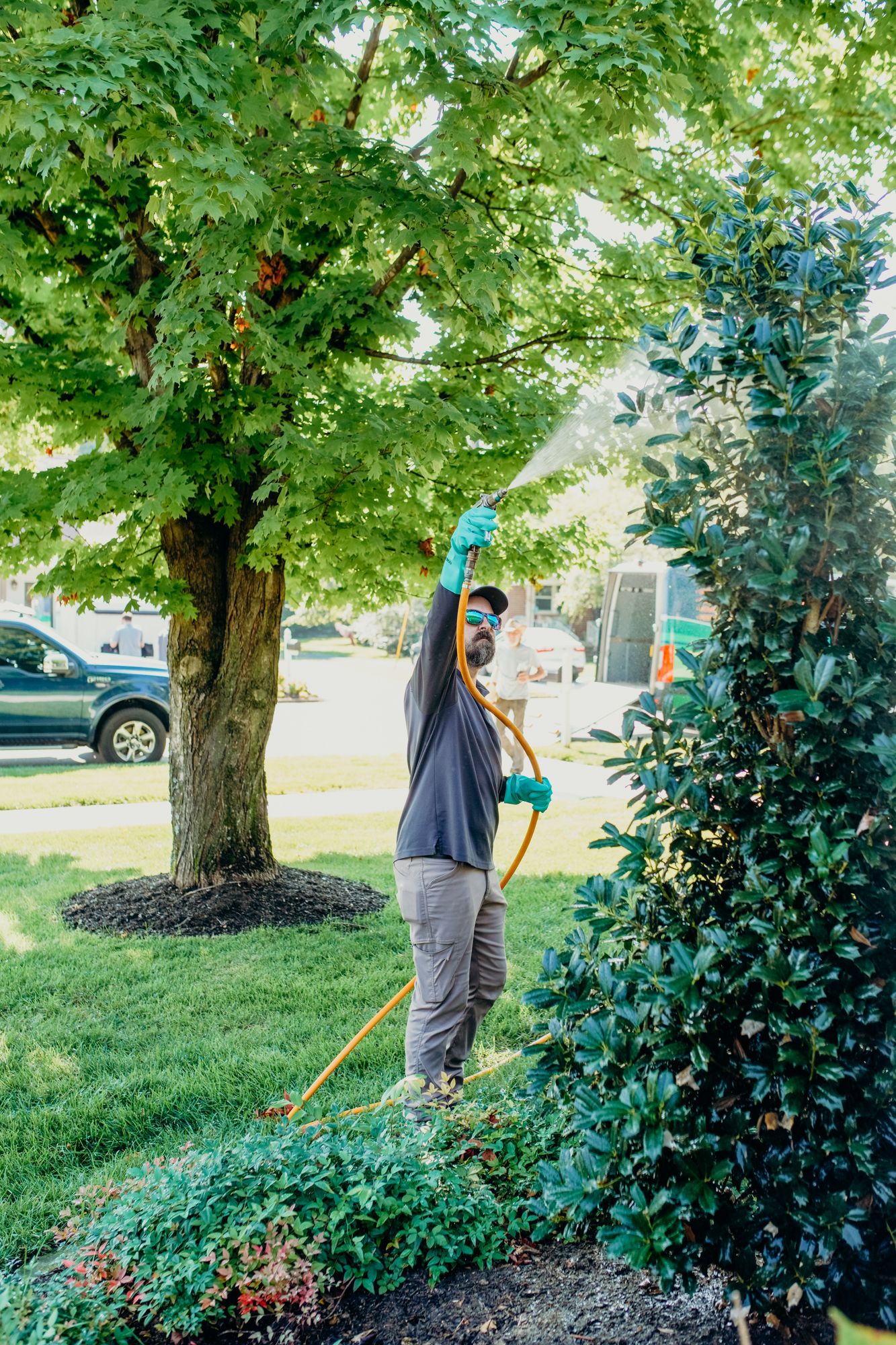 Person in garden spraying a bush. They wear gloves and a face covering under a tree, a car parked nearby.