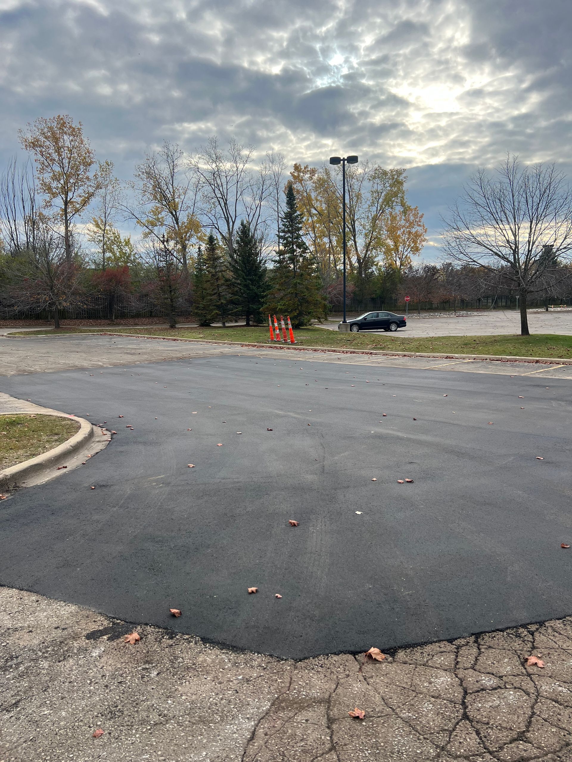 Empty parking lot with cracked asphalt, orange cones, and trees under a cloudy sky