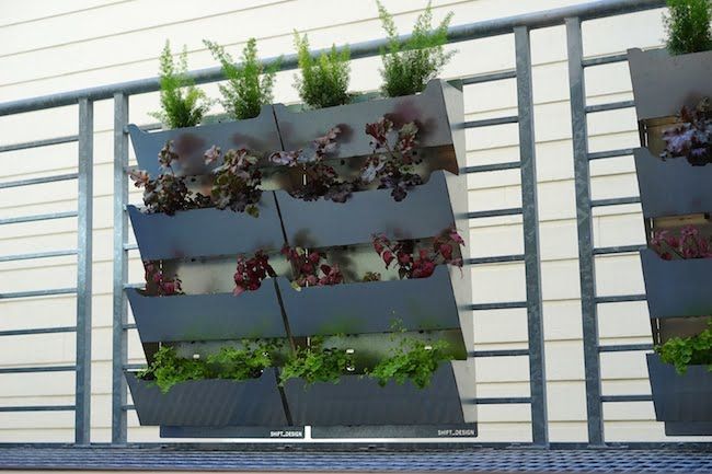 plant decor