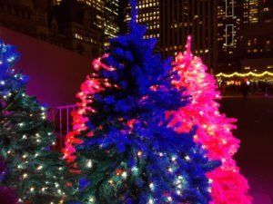 Nathan Phillips Square’s Cavalcade of Lights