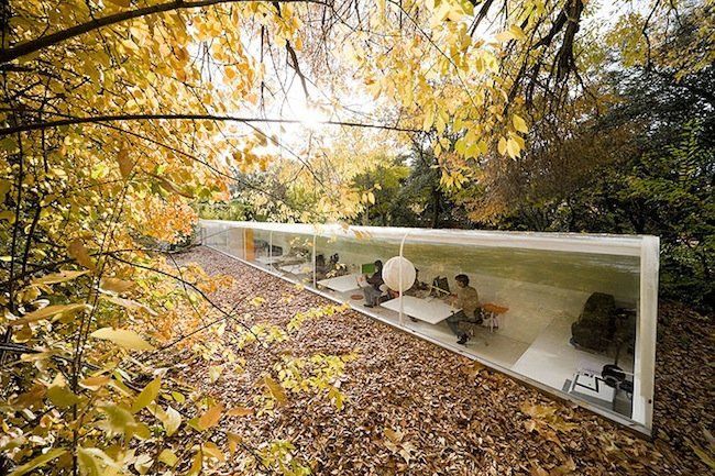 selgas cano office