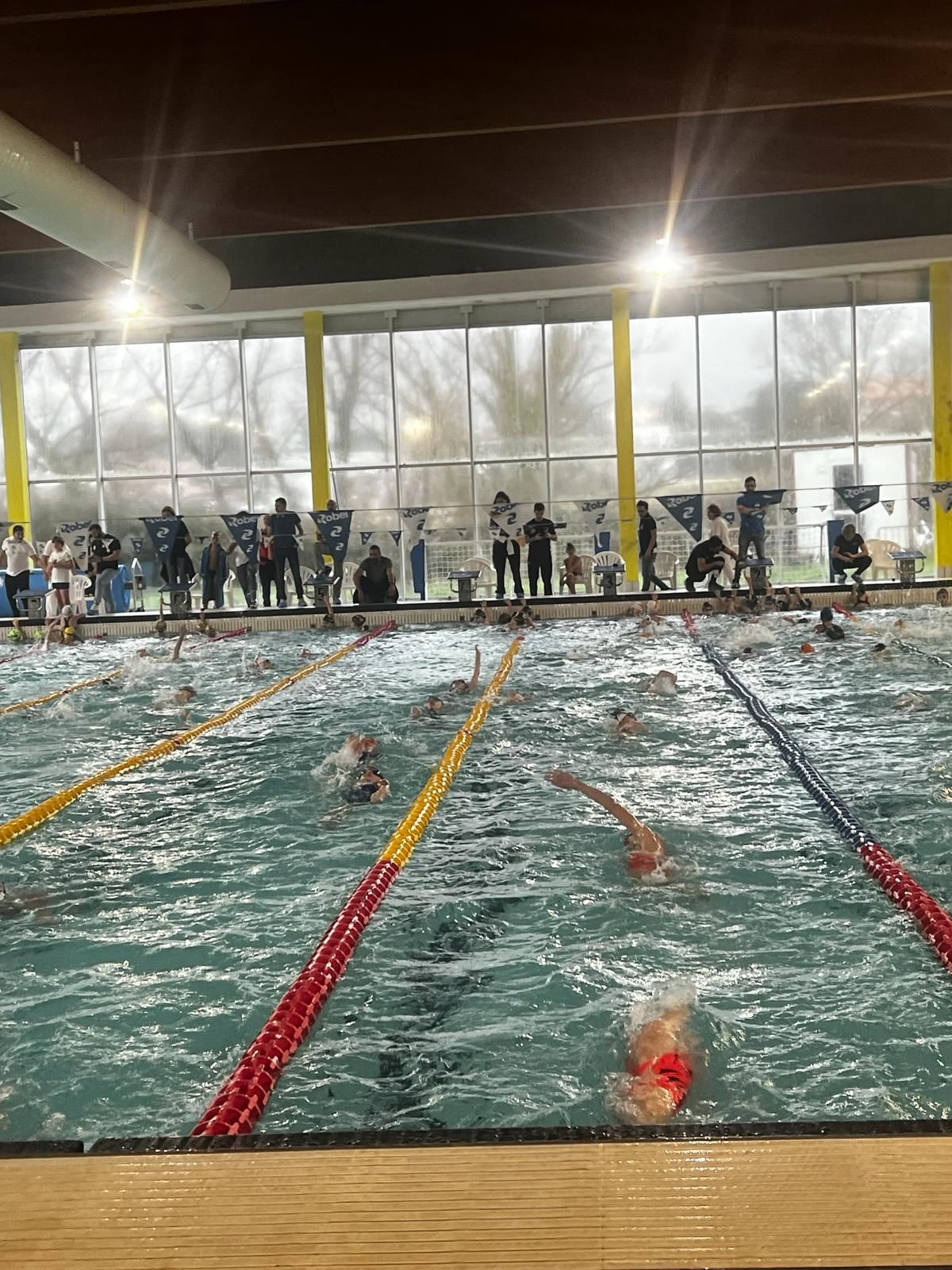 nuoto campioni