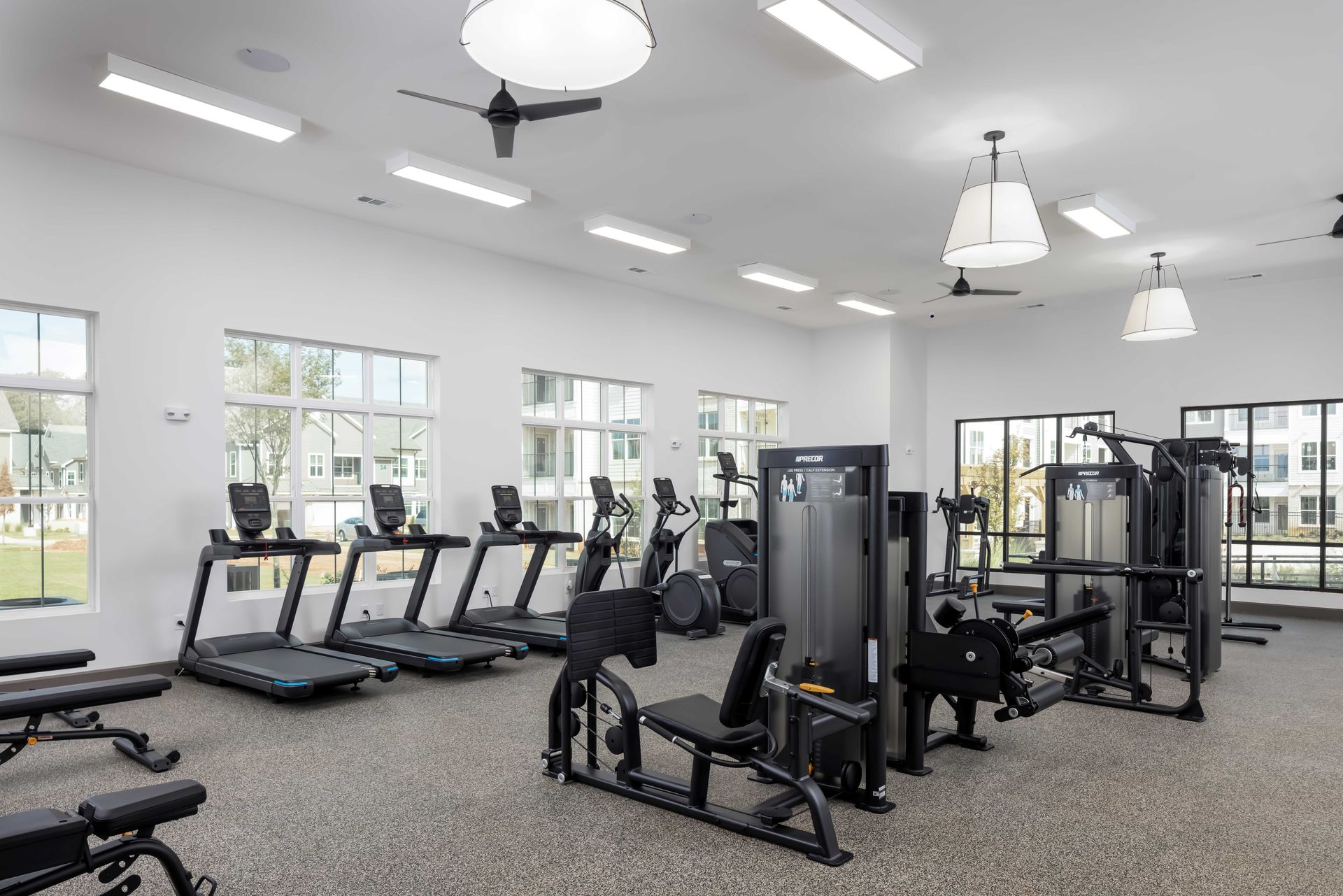Gym with treadmills, weight machines, and windows in a bright, modern space.