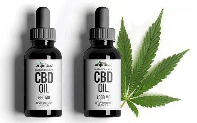 CBD oil in bottles