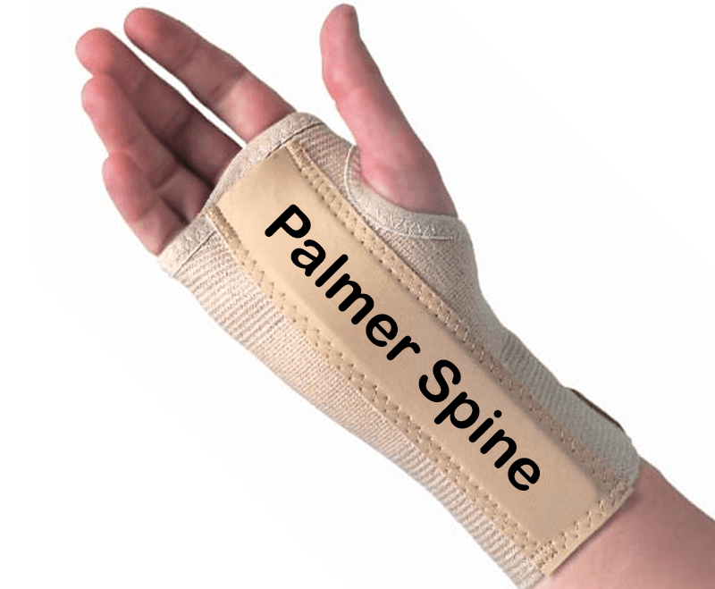 palmar spine on a wrist brace