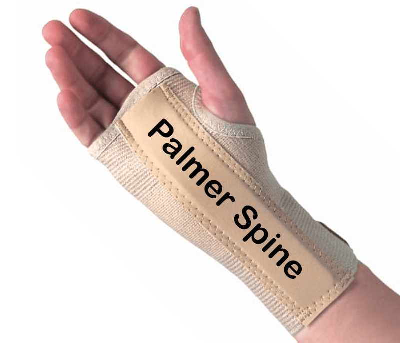 the palmar spine on a hand splint