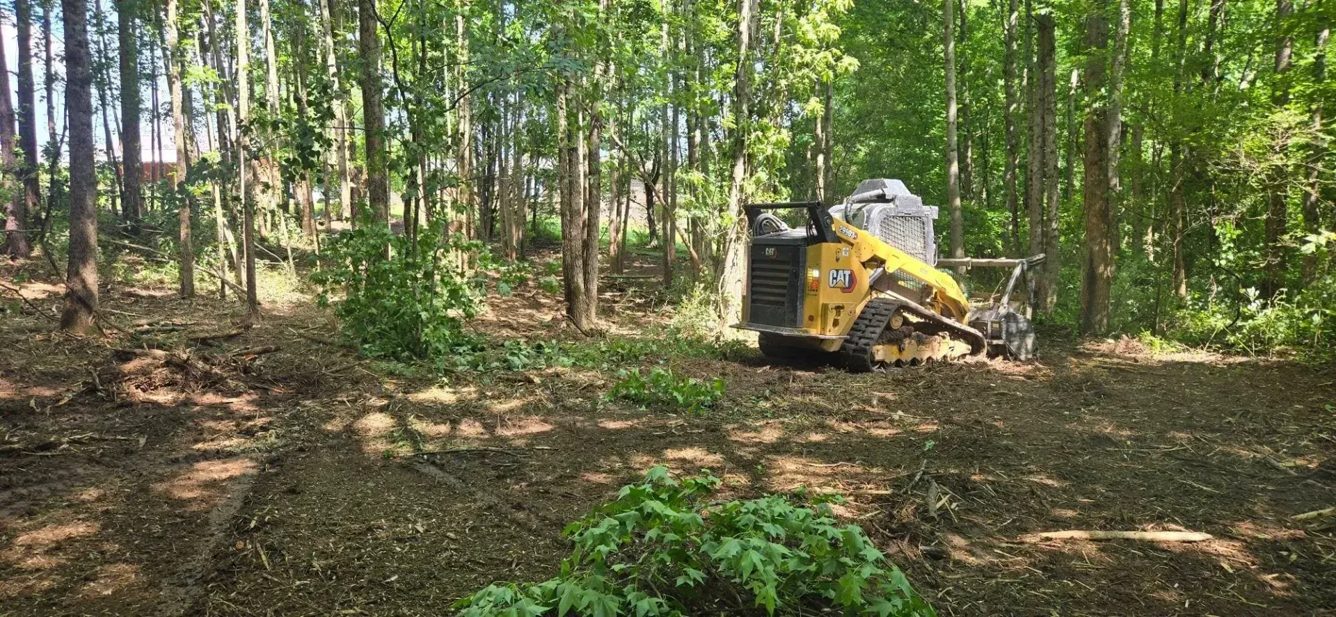 Yellow skid steer clearing brush in a wooded forest area.