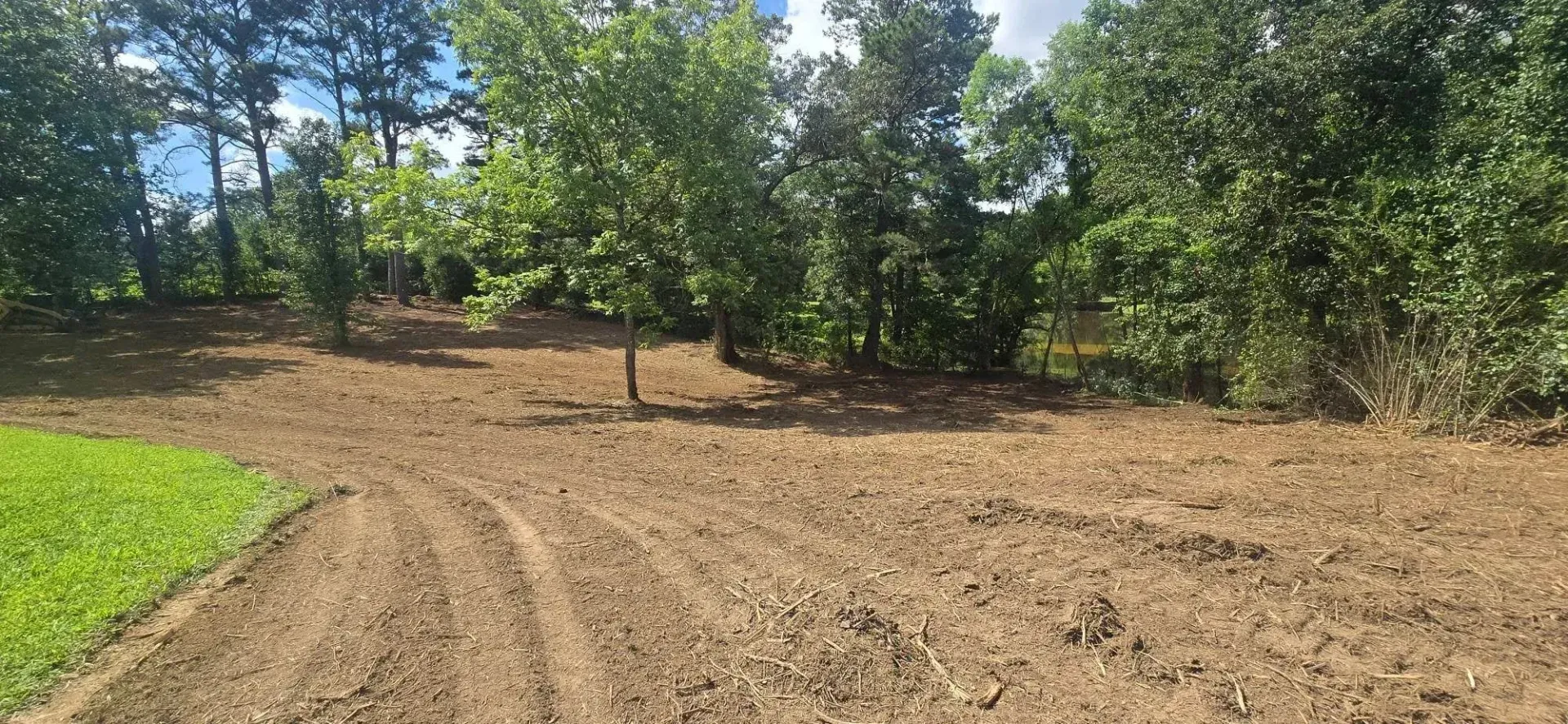 Freshly cleared dirt lot with scattered trees and bright green grass under a blue sky