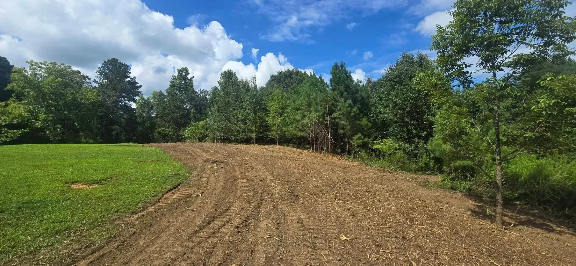 Curving dirt path through a green field with trees under a partly cloudy blue sky