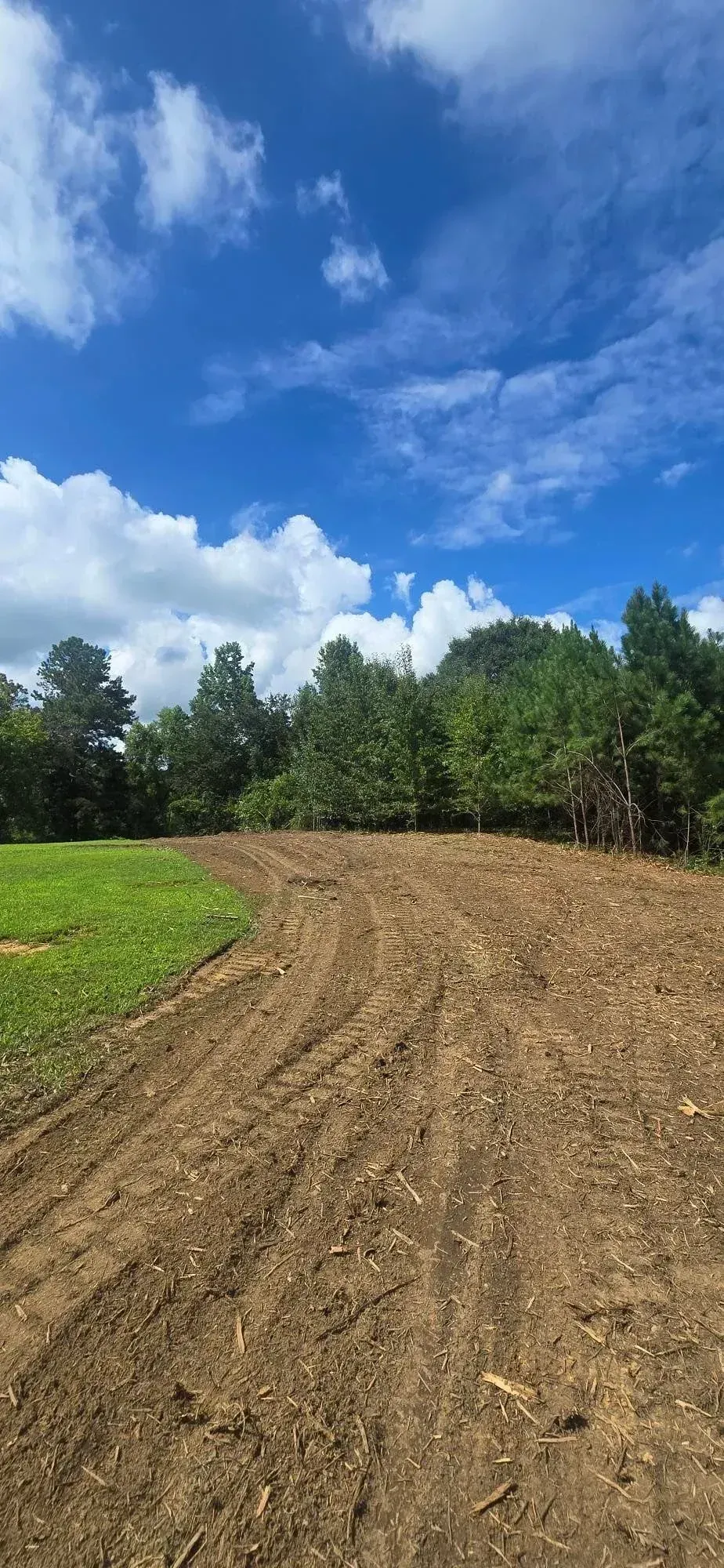 Plowed field under a bright blue sky with clouds and a tree line in the distance