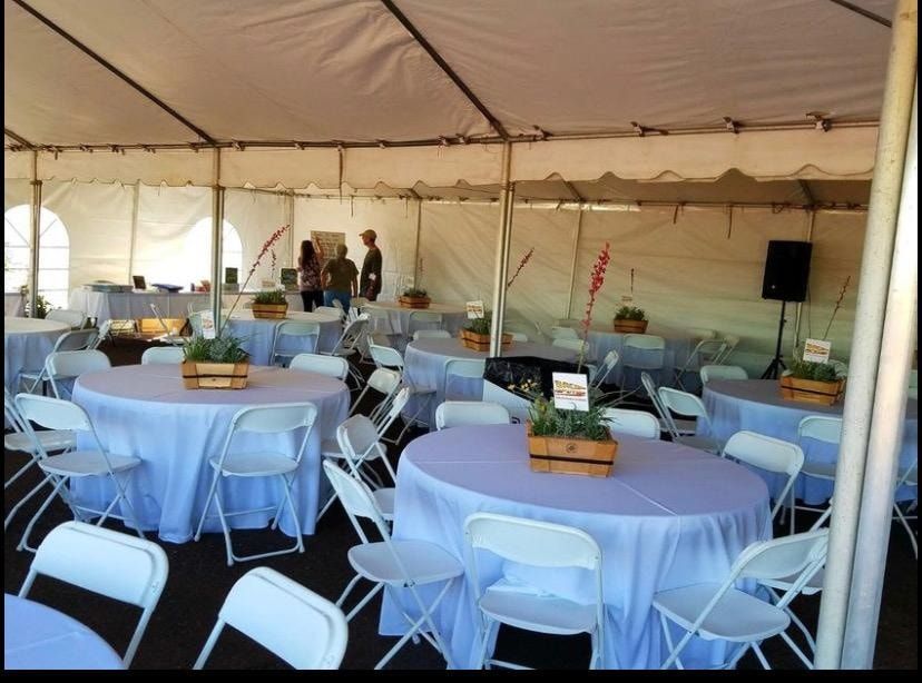 A large white party tent with round tables covered in light blue tablecloths, each featuring a wooden centerpiece.
