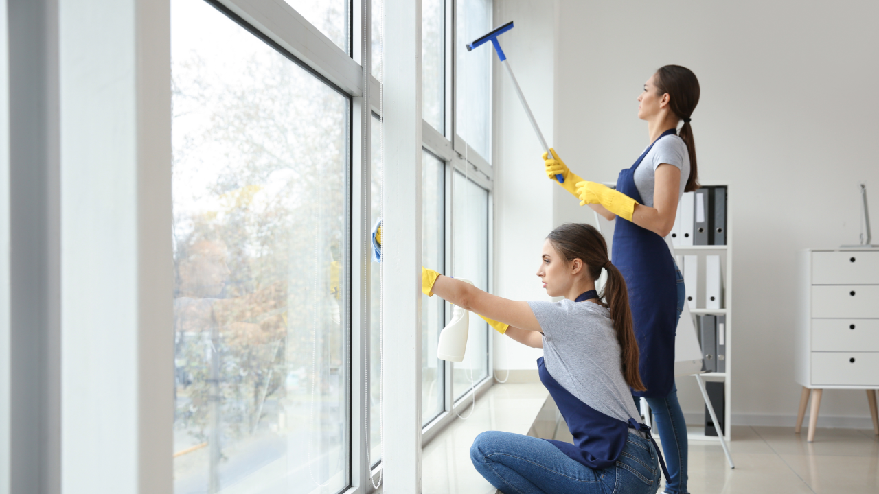 Window Services | A+ Window and Gutter Cleaning