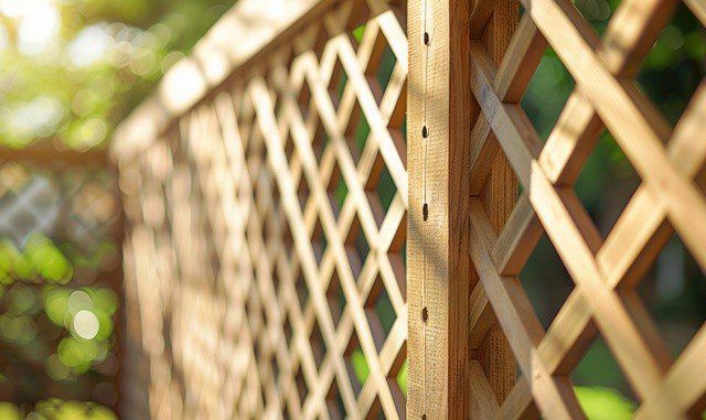 Close-up of a wooden lattice fence with diamond-shaped openings; natural sunlight shines through the gaps.