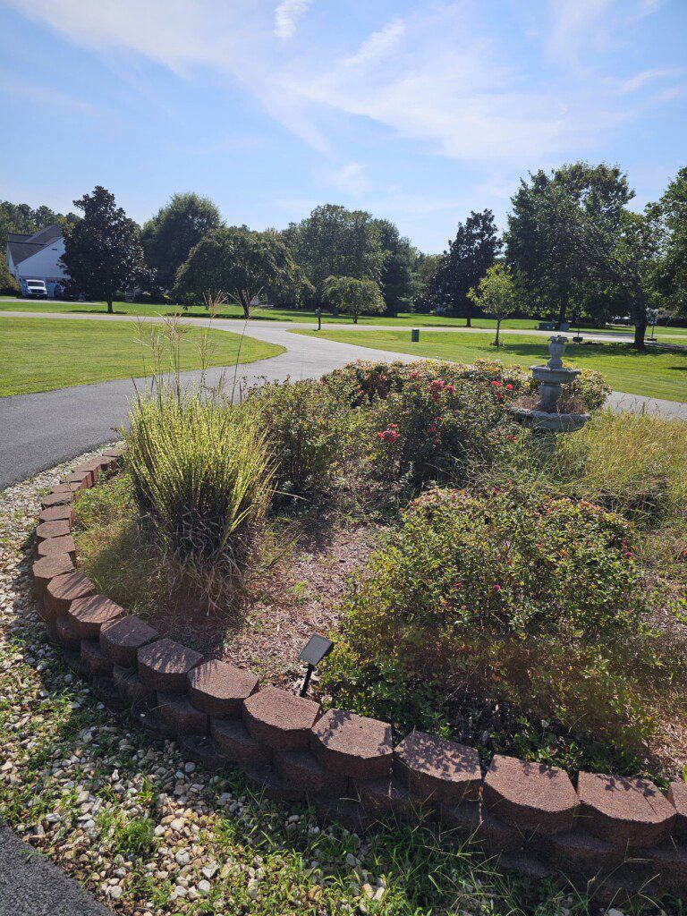 A rose garden with a circular brick border, next to a paved path and grassy area under a blue sky.