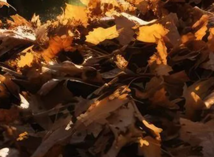 Pile of fallen autumn leaves, various shades of brown and yellow, lit by sunlight.