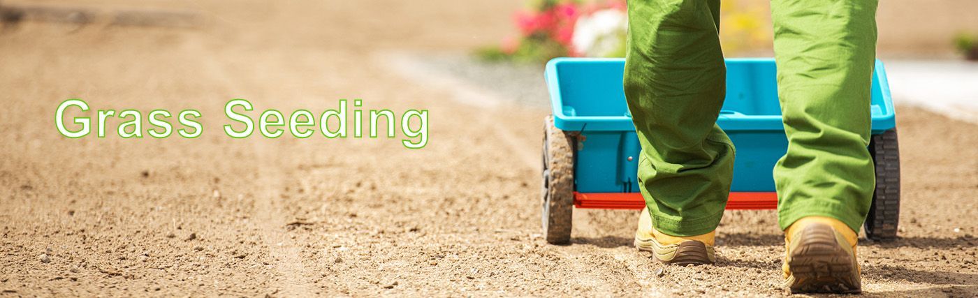 A person in green pants is pulling a blue cart across a dirt field. The text “Grass Seeding” is on the left.