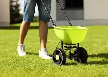 Person pushing a green spreader across a green lawn.