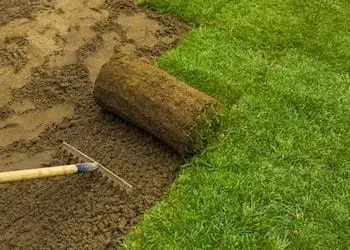 Installing sod: roll of turf next to fresh, green grass and raked soil.