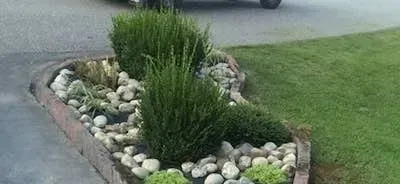 A well-manicured garden bed with lush greenery, rocks, and a brick border next to a grassy lawn.
