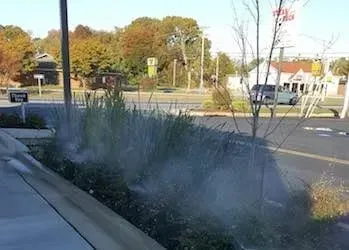 Sprinkler watering plants in a planter bed near a building and parking lot on a sunny day.