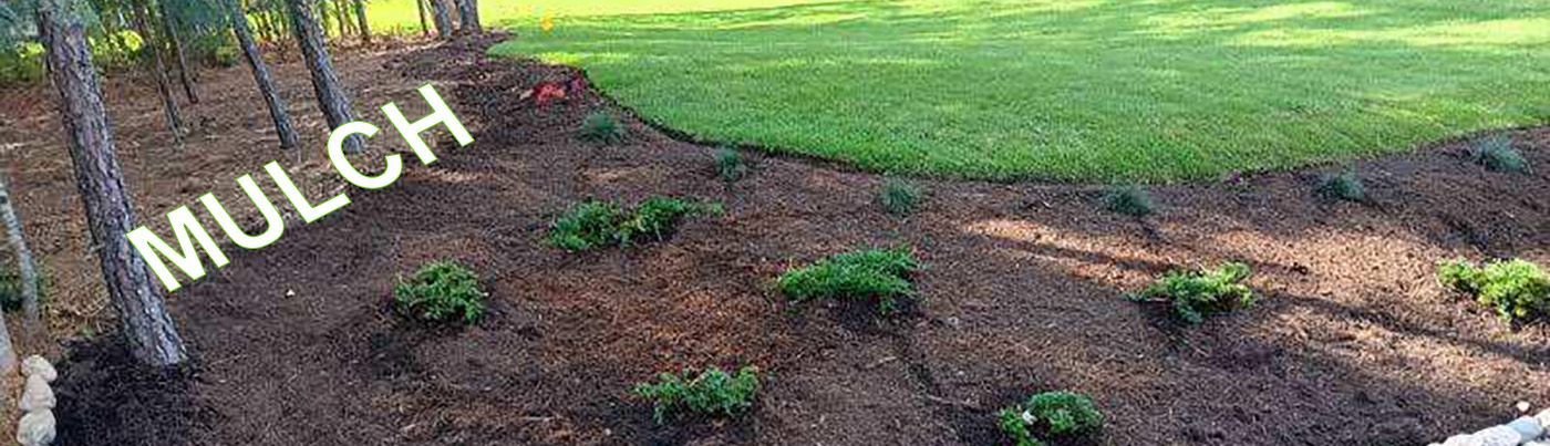 A landscaped area with mulch, some plants, and a grassy lawn in the background.