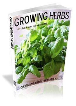 Book cover: