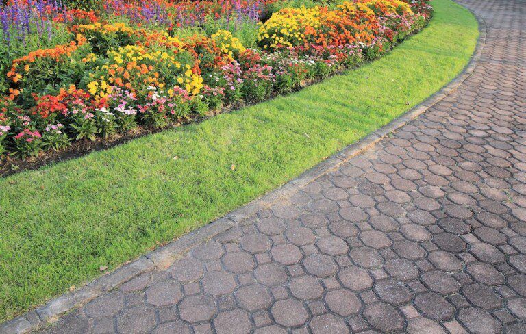 Colorful flower bed with green grass border, next to a brick path.
