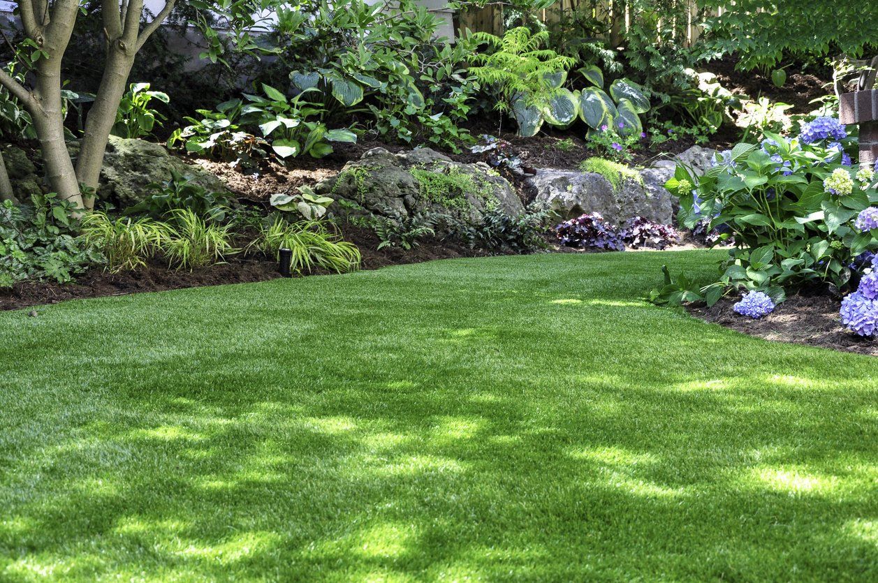 Green lawn with varied lush foliage and a few blue hydrangeas in a garden setting.