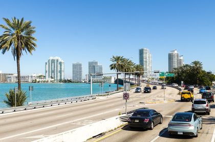 Sunny waterfront road with palm trees, cars, and modern buildings across the water