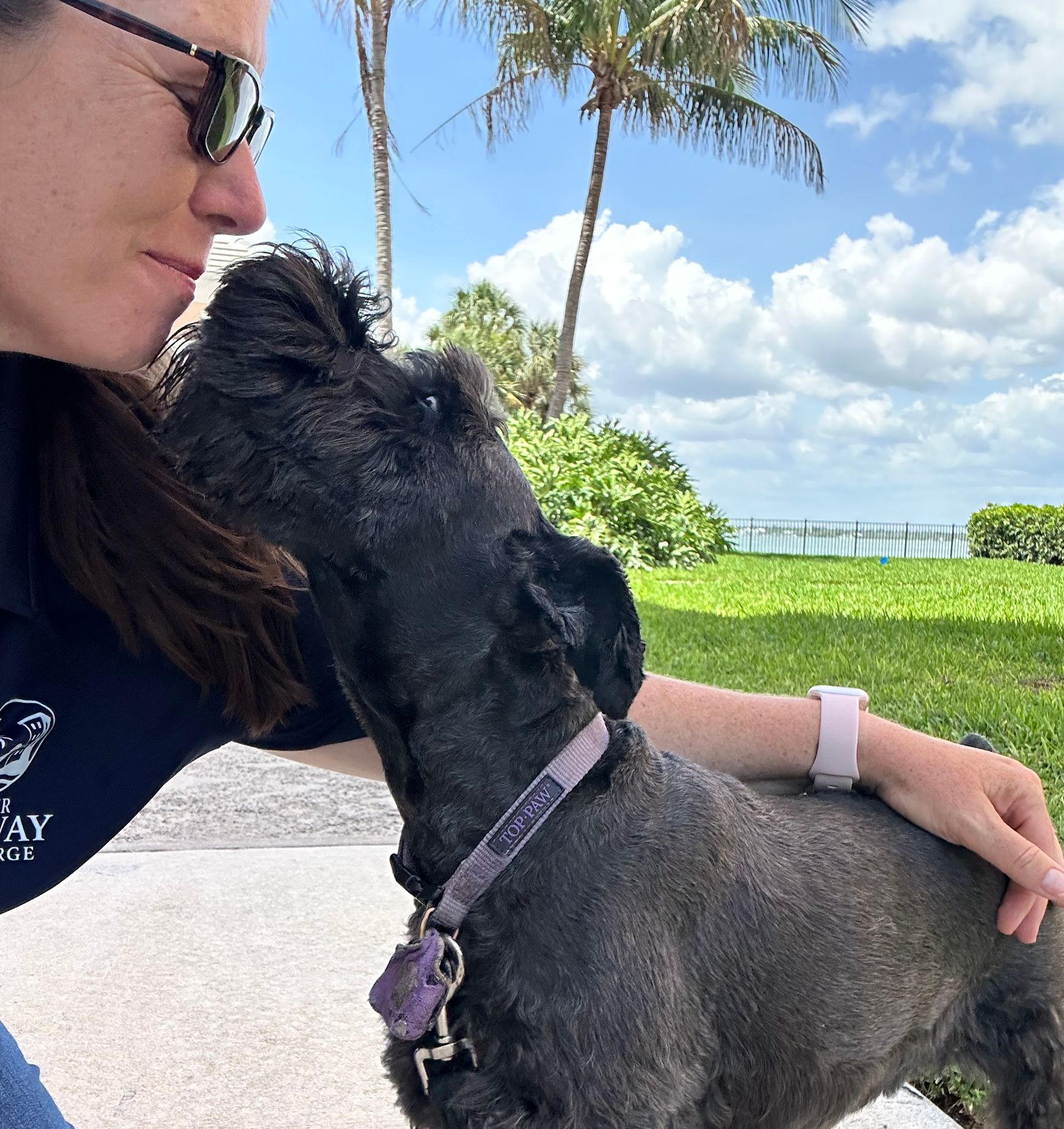 Woman and black dog nuzzle by the water under a palm tree on a sunny day