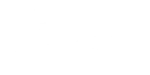 Blank white image with no visible content