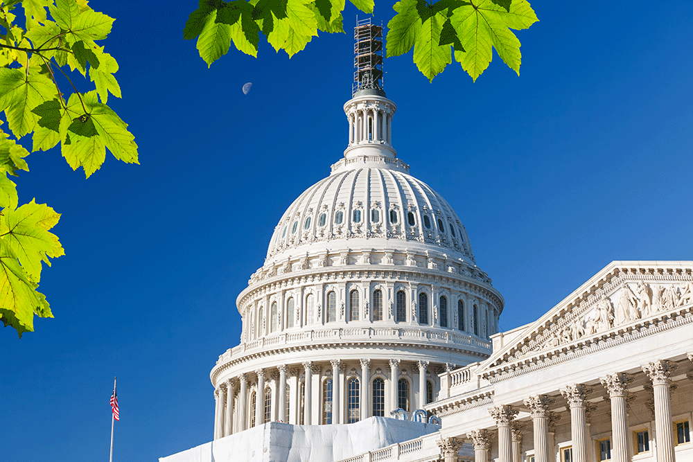 The U.S. Capitol dome stands tall under a clear blue sky, framed by bright green maple leaves in the foreground.