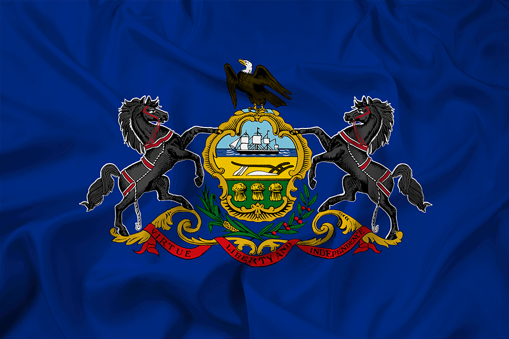 Pennsylvania State flag with slight creases