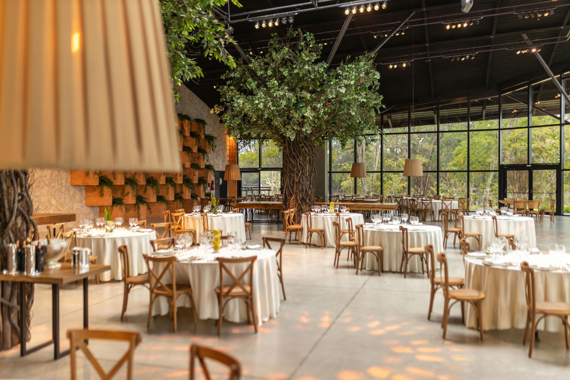 Elegant restaurant dining room with white-tablecloth tables, wood chairs, and a large indoor tree