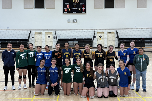 Girls Volleyball All Stars