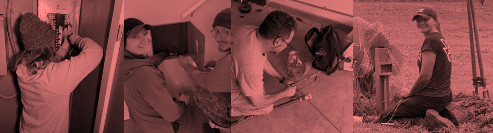 Pink-tinted four-panel collage of people painting, reading, and sitting outdoors near a wall and stairs