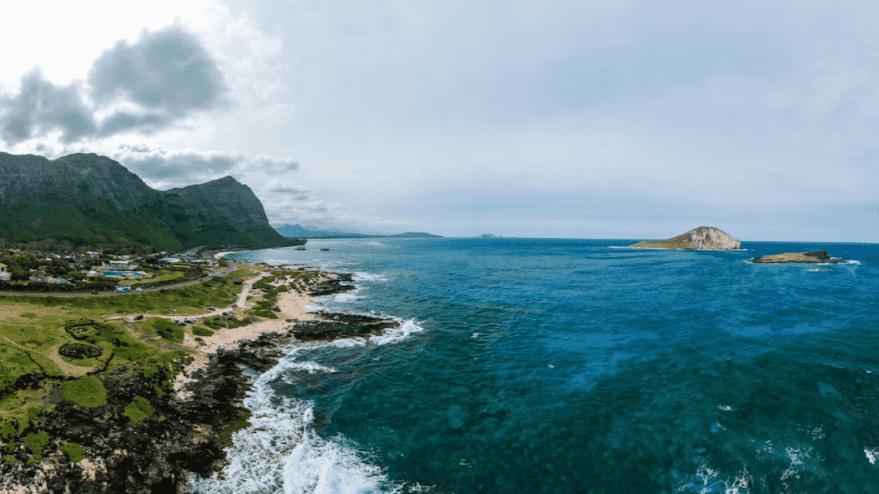 Waimanalo painting company
