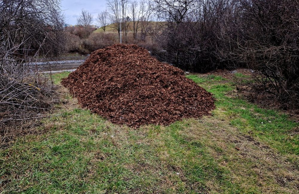 Gardener shoveling soil from an orange wheelbarrow into a dirt bed