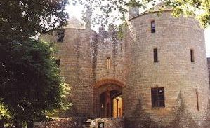 A large stone castle with a gate and trees in front of it.