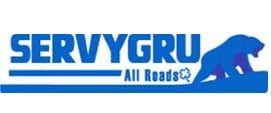 PAILERIA Y SOLDADURA RUIZ SA DE CV  - servygru