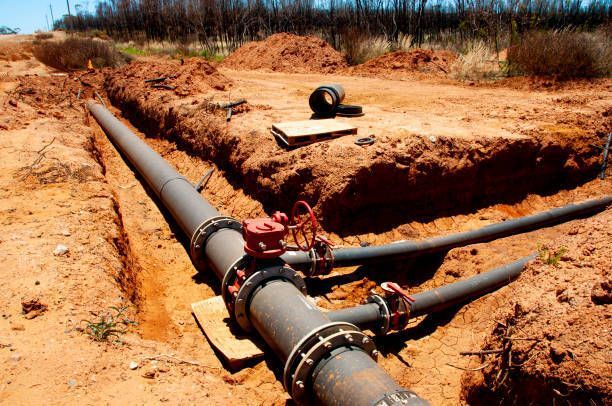 A bunch of pipes are laying in the dirt.