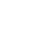 Icon Phone